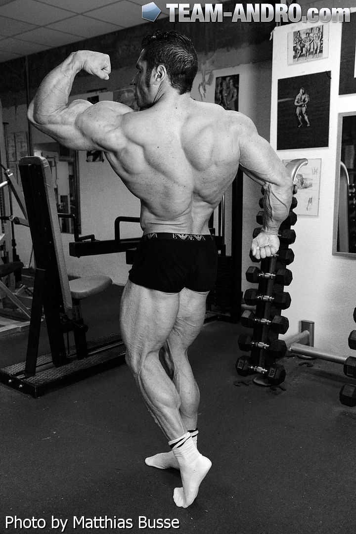 David Hoffmann