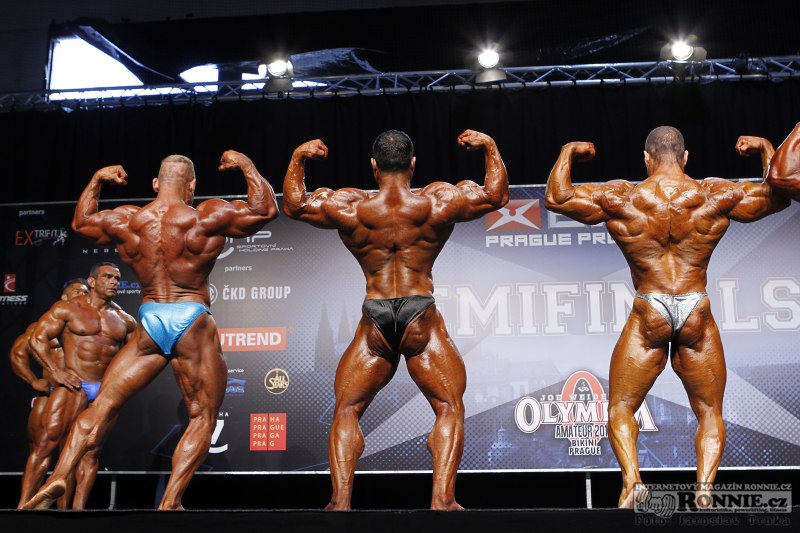 Jan Kub�k, Mehdi Hatami, Raul Carrasco
