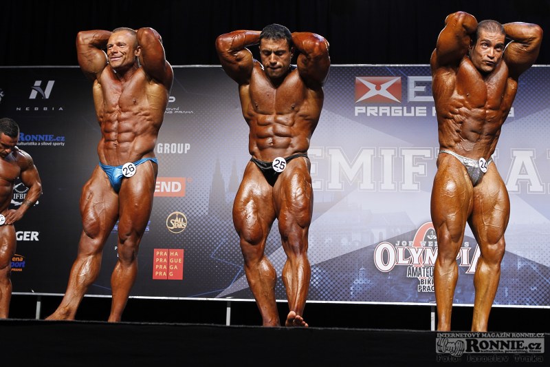 Jan Kub�k, Mehdi Hatami, Raul Carrasco