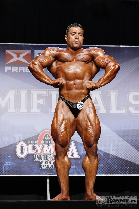 Mehdi Hatami