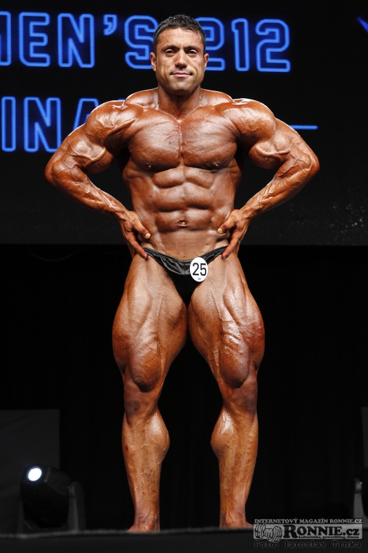 Mehdi Hatami