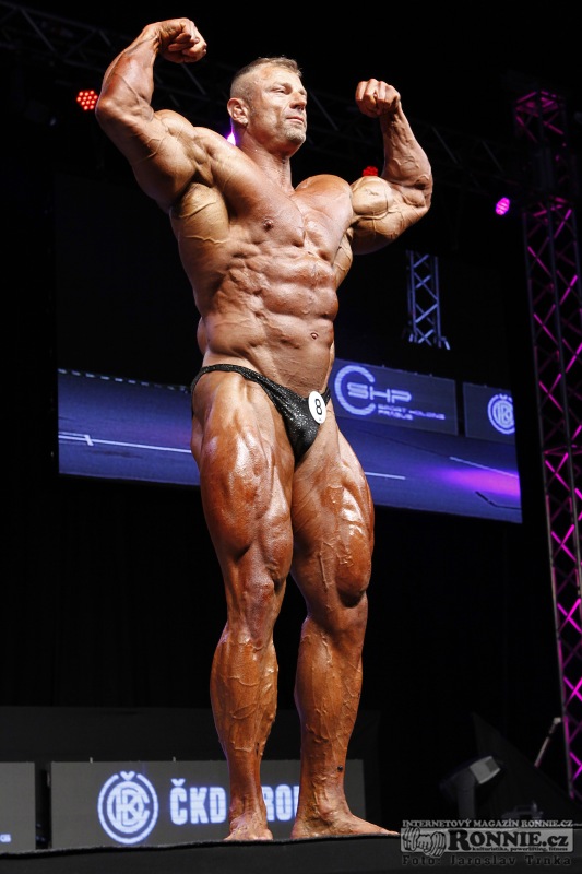 Dalibor H�jek
