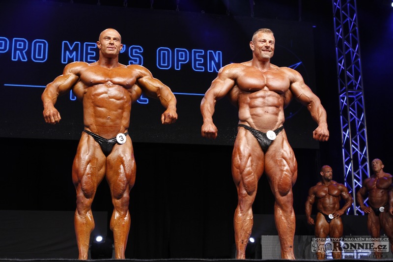 Tom� Bure�, Dalibor H�jek
