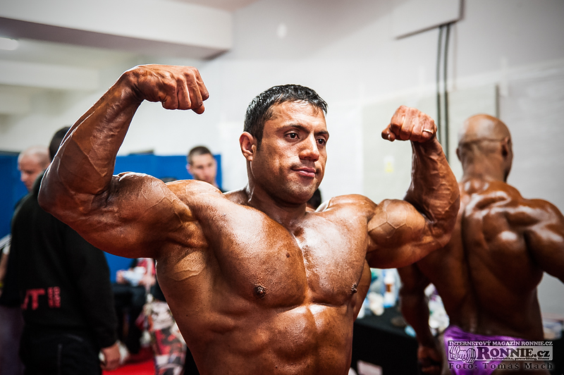 Mehdi Hatami