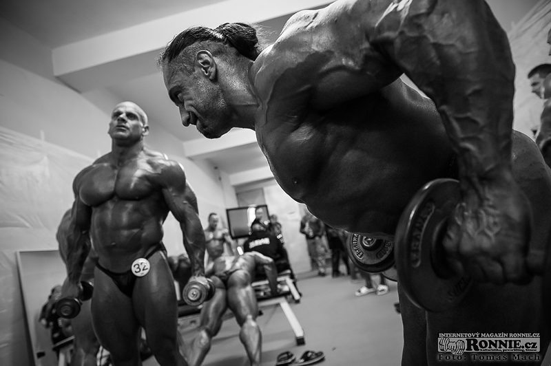 Lee Powell, Mirsad Terzo