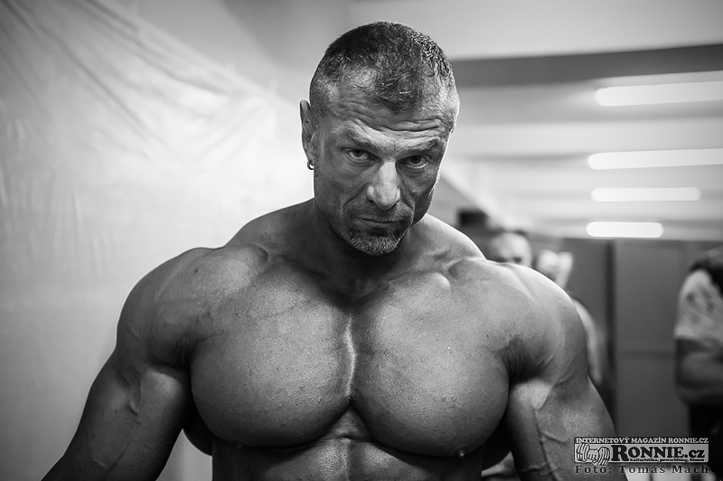 Dalibor H�jek