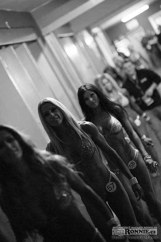 Amateur Bikini Olympia 2013