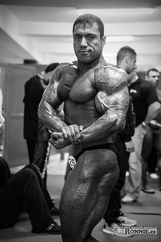 Mehdi Hatami