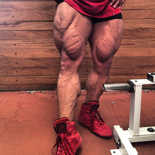 Manuel Lomeli