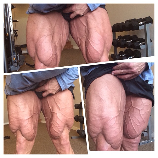 Nick Trigili
