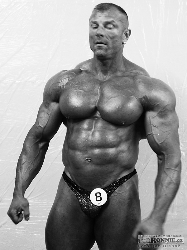 Dalibor H�jek