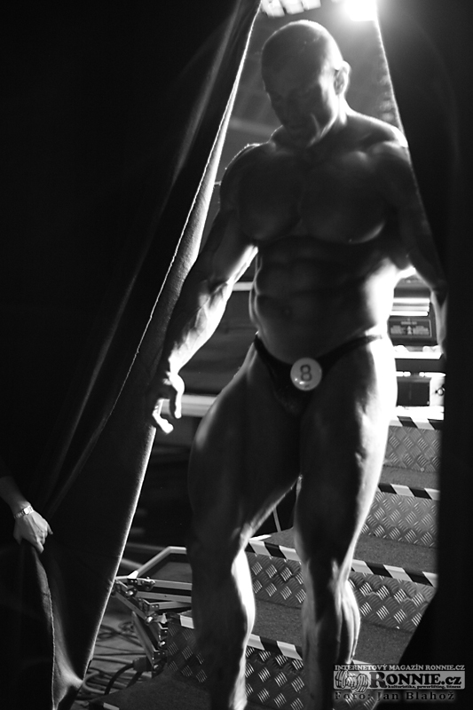 Dalibor H�jek