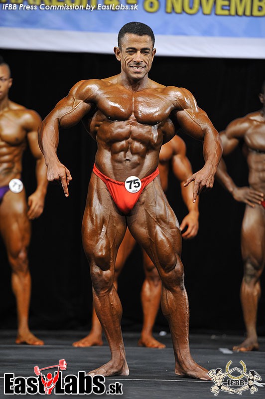 Gamal Elkomy
