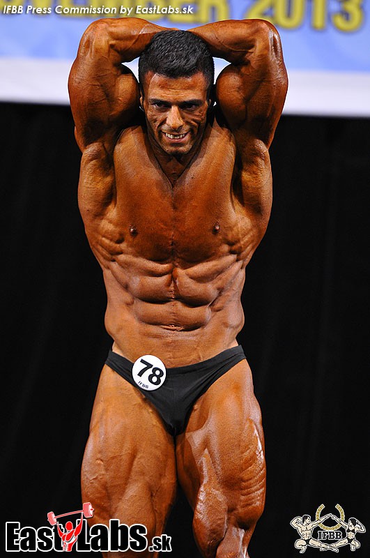 Sajad Niknampour