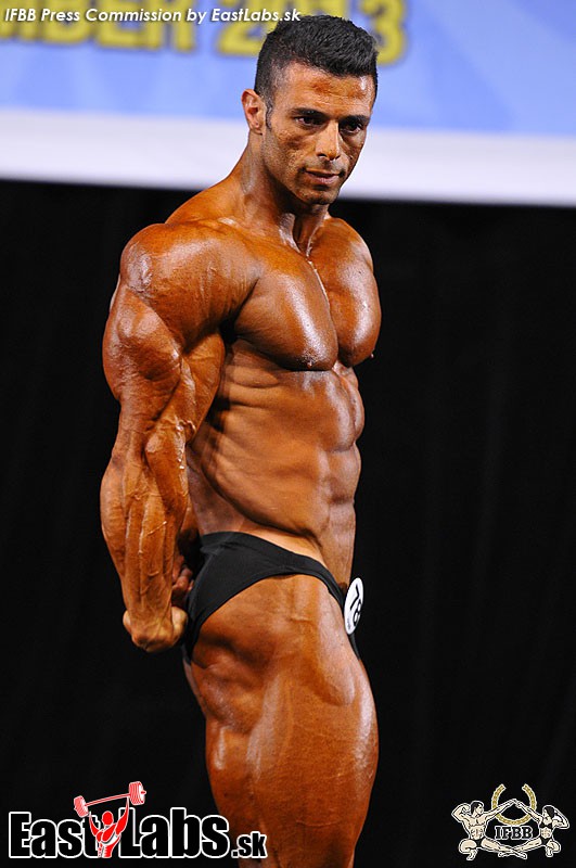 Sajad Niknampour