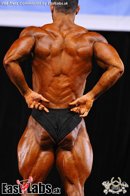 Sajad Niknampour