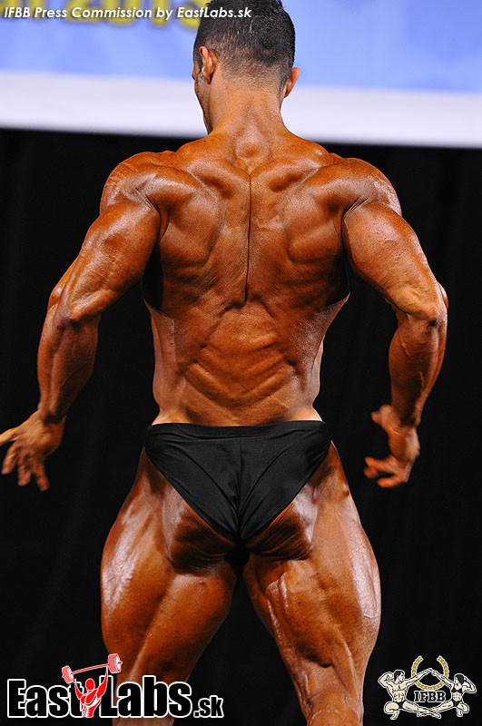 Sajad Niknampour