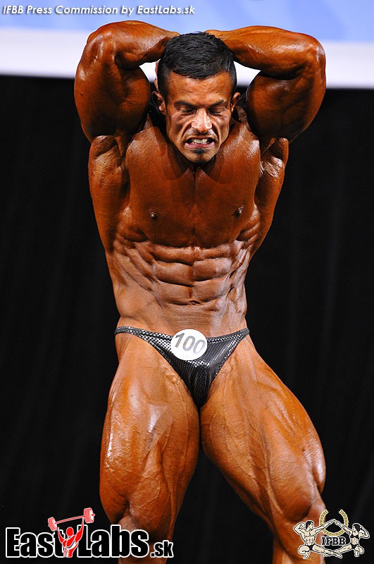 Babak Akbarniya