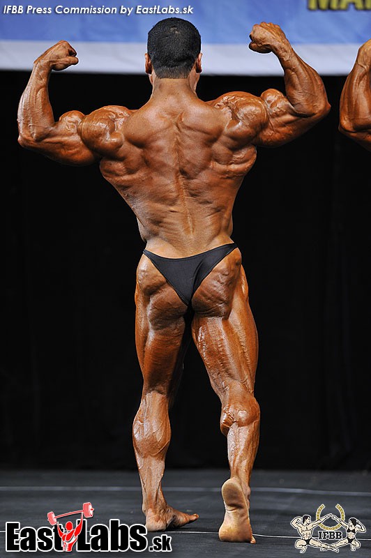 Mahmoud El Fadaly