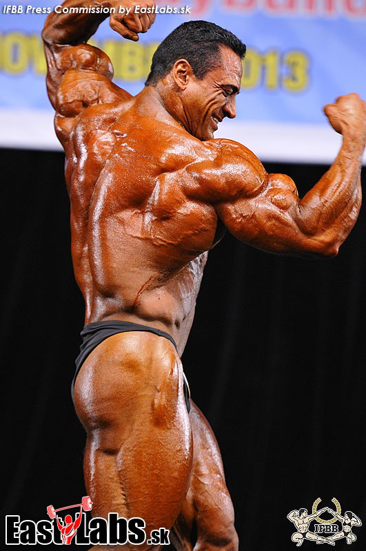 Mahmoud El Fadaly
