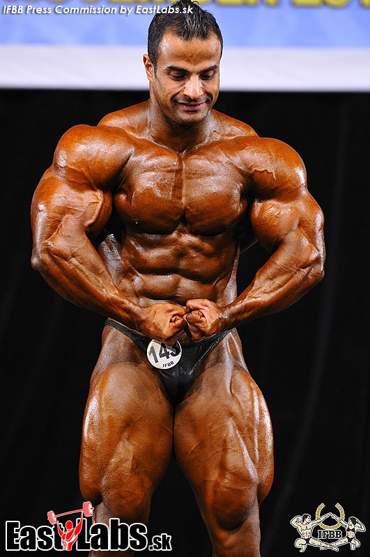 Ahmed Wardany
