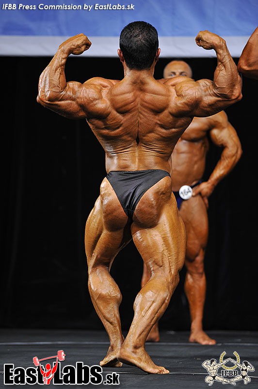 Mahdi Ayari