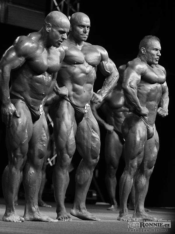 Lee Powell, Luk� Osladil, Jerry Ossi