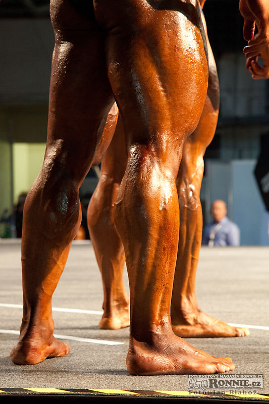 EVL�s Prague Pro 2013