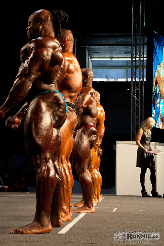 Kai Greene, Dalibor H�jek, Dexter Jackson