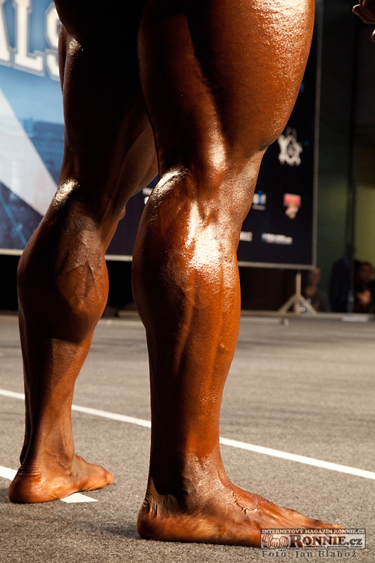EVL�s Prague Pro 2013