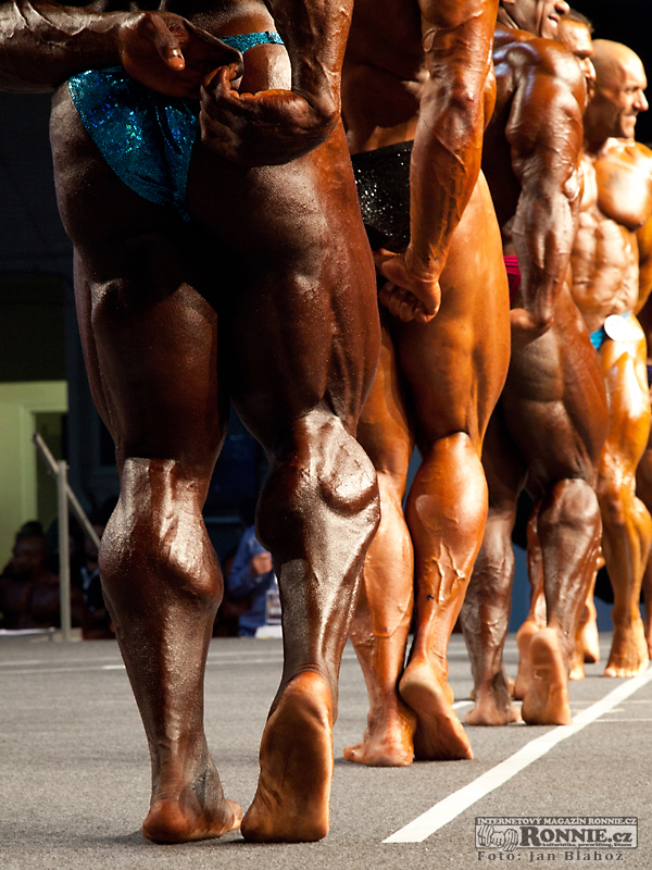 Kai Greene, Dalibor H�jek