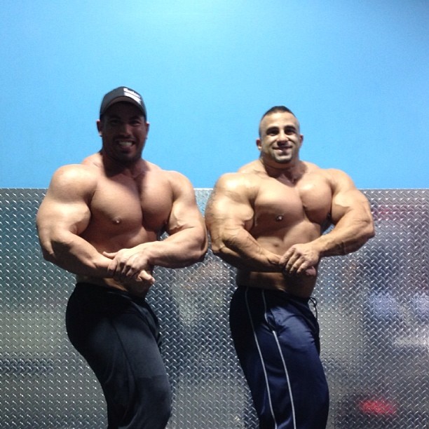 Fouad Abiad a Dorian Hamilton