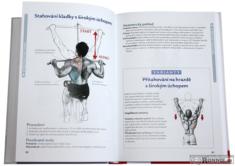 Bodybuilding - anatomie (Nick Evans)