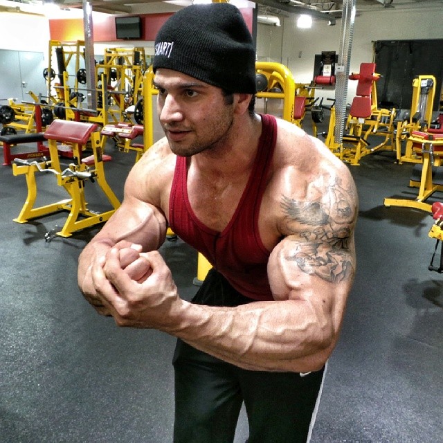 Dean Fazzolari