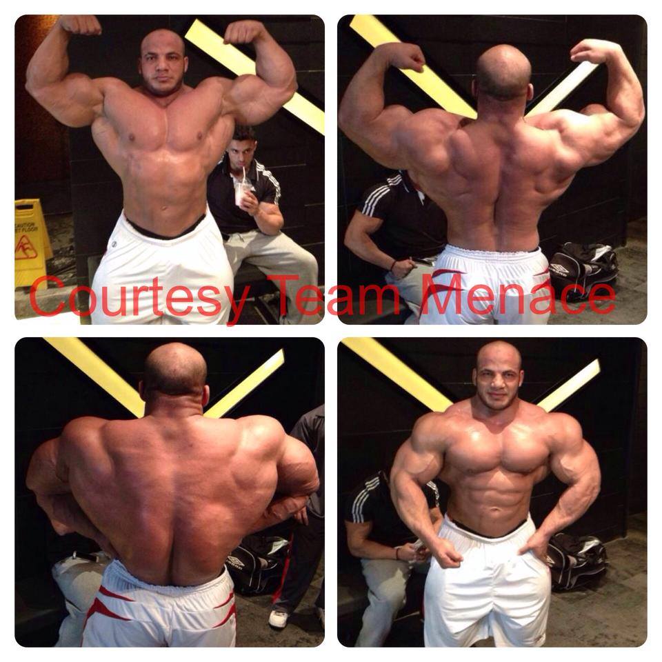 Mamdouh Elssbiay