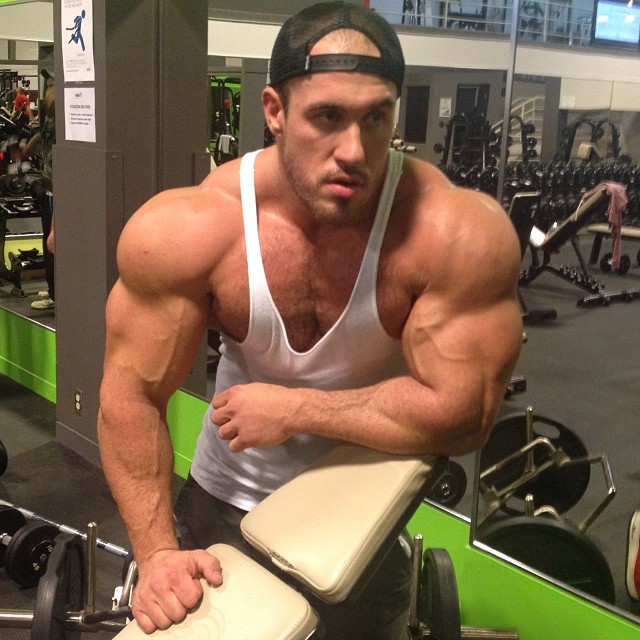 Antoine Vaillant