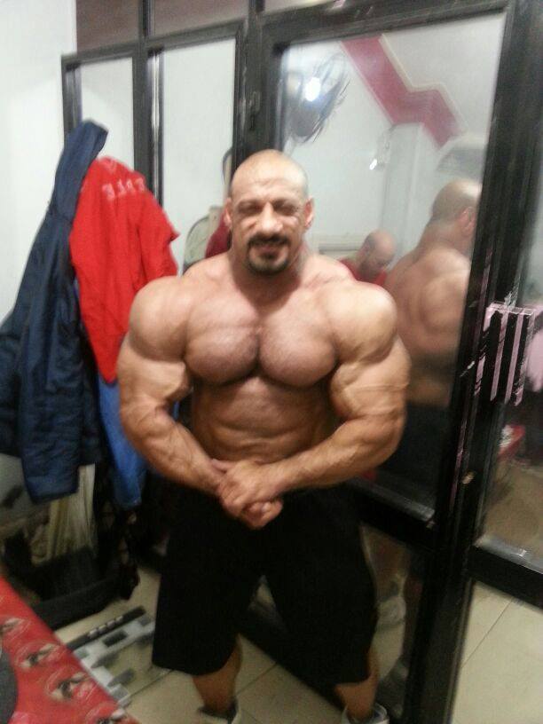 Anwar Seif