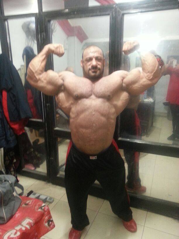 Anwar Seif