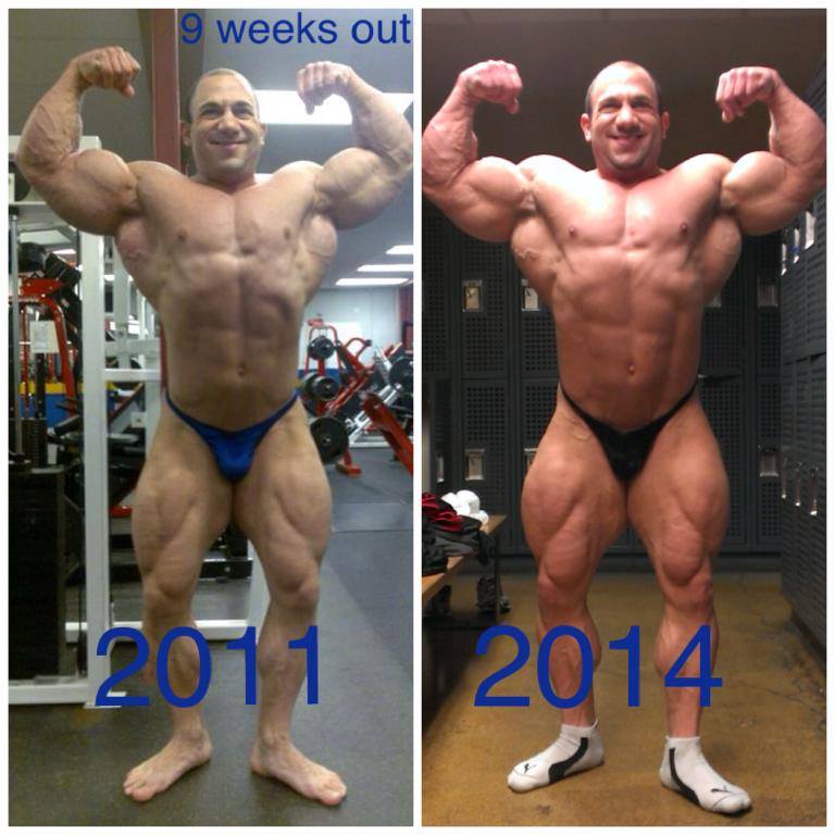 Amit Sapir