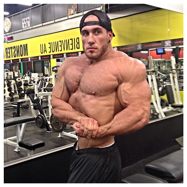 Antoine Vaillant