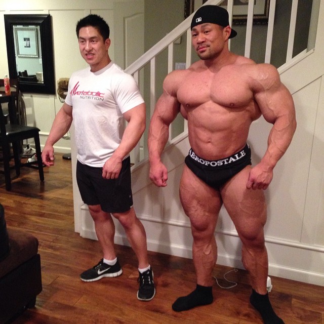 An Nguyen