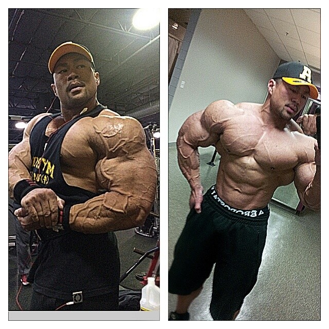 An Nguyen