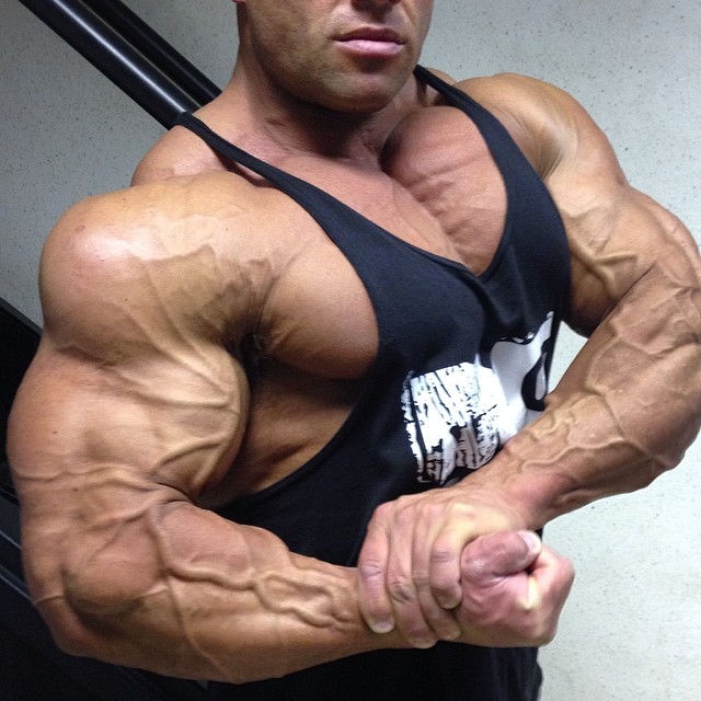 Anthony Bailes