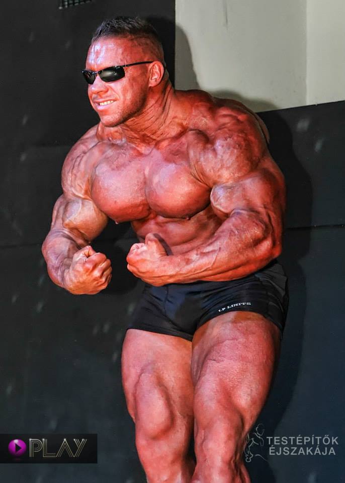 Daniel Toth