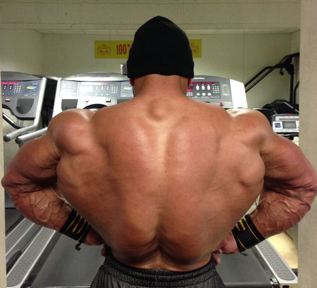 Anthony Bailes