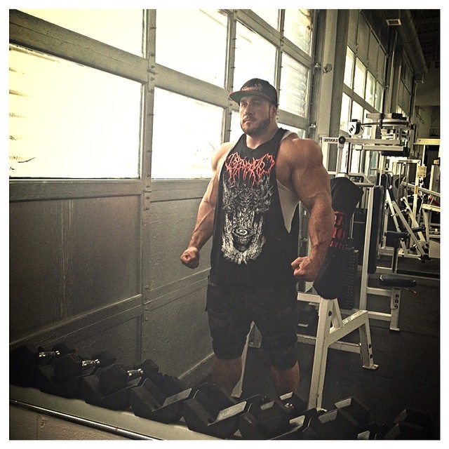 Antoine Vaillant