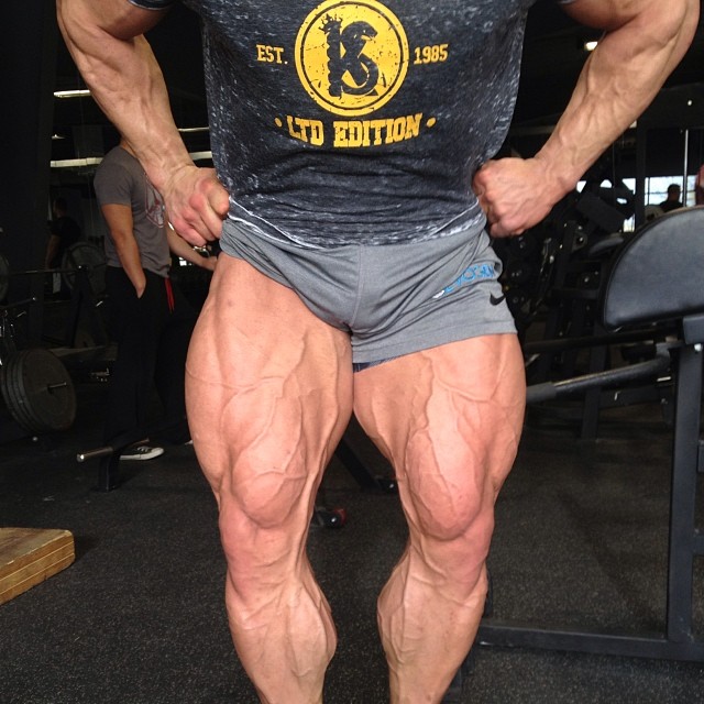 Steve Kuclo