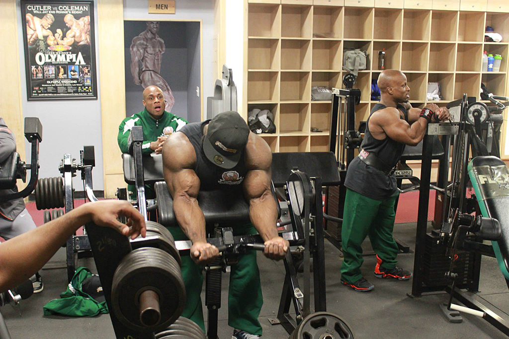 Akim Williams, Shaun Clarida