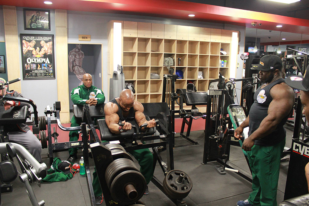 Shaun Clarida, Akim Williams