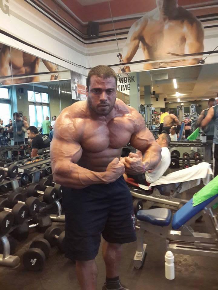 Maor Zaradez